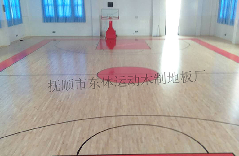 山东德州宁津篮球馆