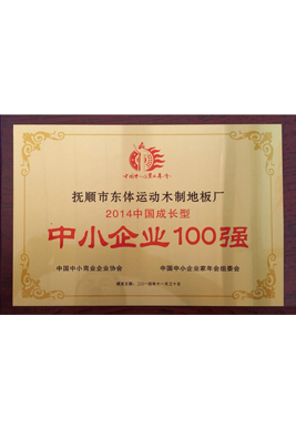 2014 China's growing SMEs